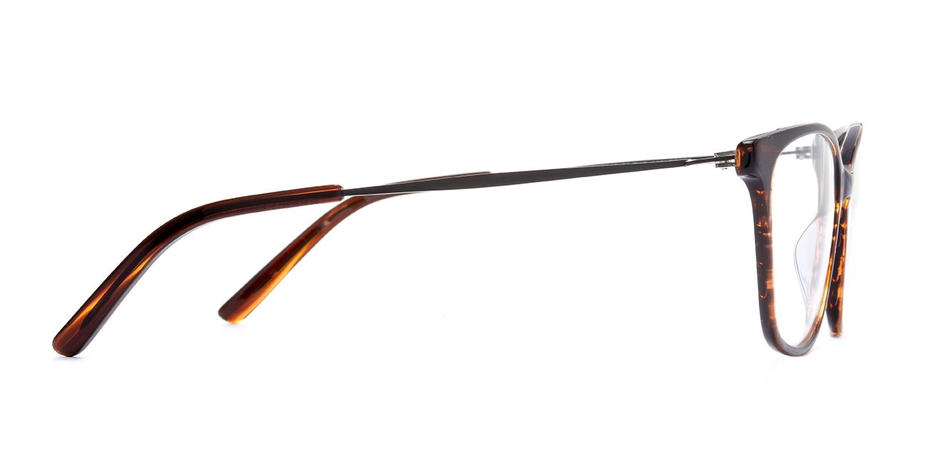 Dellaspina - San Sebastian